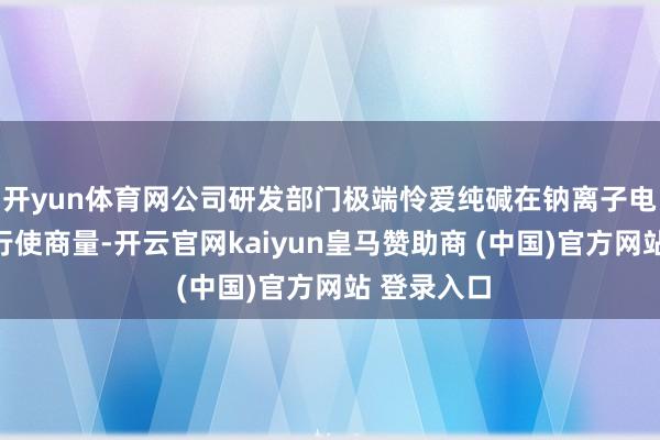 开yun体育网公司研发部门极端怜爱纯碱在钠离子电板范围的行使商量-开云官网kaiyun皇马赞助商 (中国)官方网站 登录入口