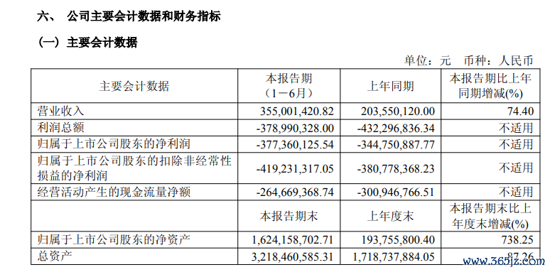 图片着手:半年报截图
